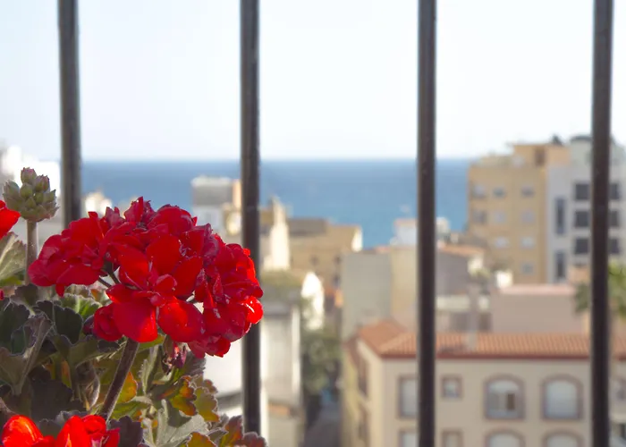 Hotel Lloret Santa Rosa By Pierre &